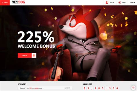red dog online casino login